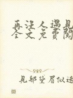 再没人遇见小说全文免费阅读