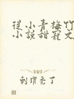 从小青梅竹马的小说甜宠文封面