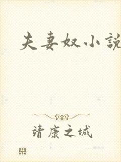 夫妻奴小说