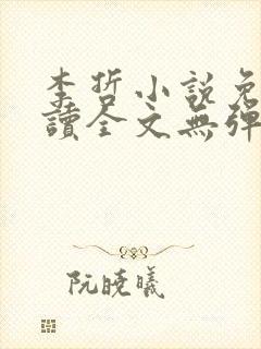 李哲小说免费阅读全文无弹窗封面