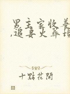 男主家收养女主,追妻火葬场