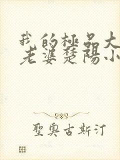 我的极品大小姐老婆楚阳小说阅读