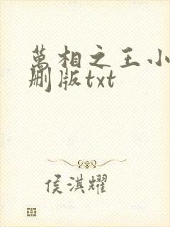 万相之王小说未删版txt