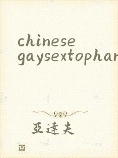 chinesegaysextophard
