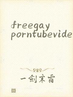 freegayporntubevideos