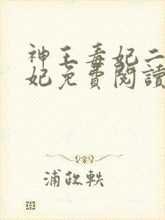 神王毒妃二嫁王妃免费阅读全文