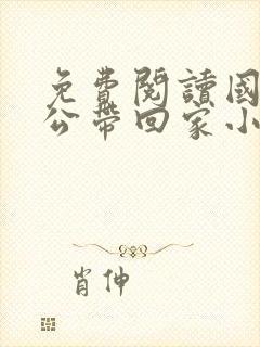 免费阅读国民老公带回家小说