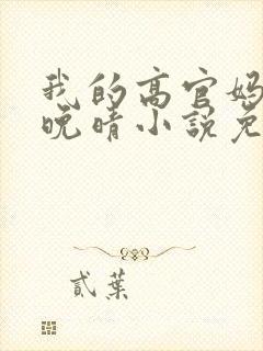 我的高官妈妈苏晚晴小说免费阅读