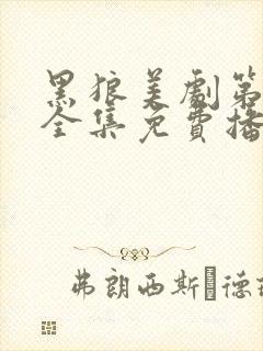 黑狼美剧第一季全集免费播放