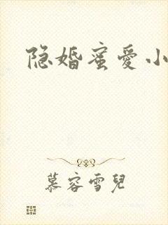 隐婚蜜爱小说版