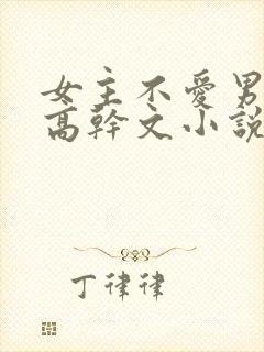 女主不爱男主的高干文小说