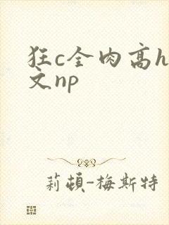 狂c全肉高h辣文np