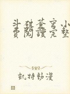 斗破苍穹小说免费阅读完整版在线封面