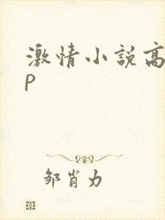 激情小说高hnp