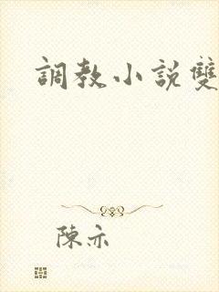 调教小说双性人