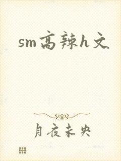 sm高辣h文