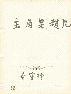 主角是赵凡小说