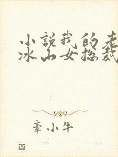 小说我的老婆是冰山女总裁