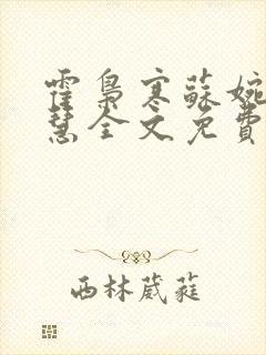 霍枭寒苏婉苏晓慧全文免费看