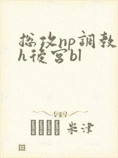 总攻np调教高h后宫bl