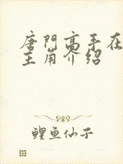 唐门高手在异世主角介绍封面