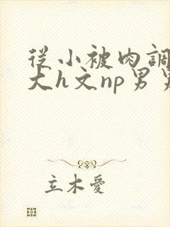 从小被肉调教到大h文np男男