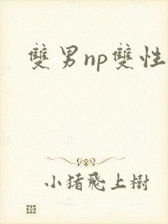 双男np双性受