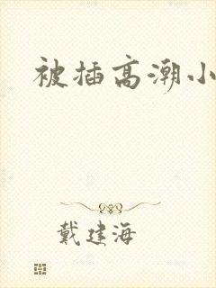 被插高潮小说