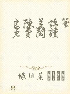 良陈美锦笔趣阁免费阅读