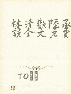 林清欢陆承洲小说全文免费阅读