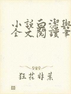 小说白洁与高义全文阅读笔趣阁下载封面