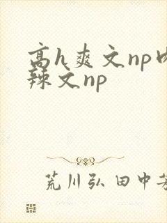高h爽文np肉辣文np封面