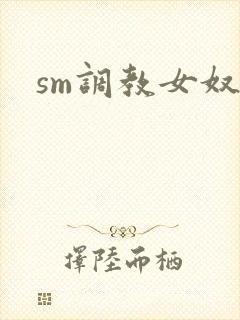 sm调教女奴隶封面