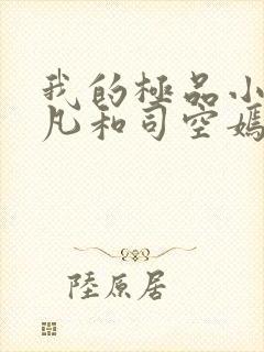 我的极品小姨叶凡和司空嫣的小说