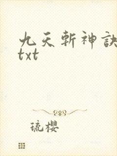 九天斩神诀林辰txt