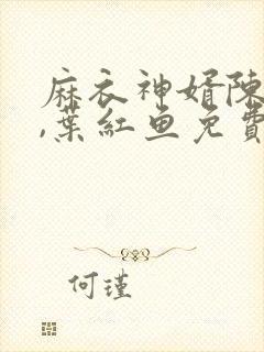 麻衣神婿陈黄皮,叶红鱼免费听书