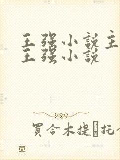 王强小说主人公王强小说封面