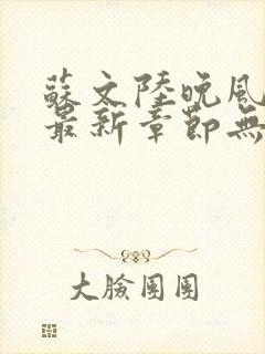 苏文陆晚风小说最新章节无弹窗封面