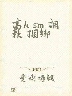 高h sm 调教 捆绑