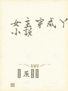 女主穿成丫鬟的小说
