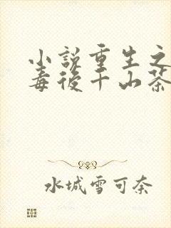 小说重生之将门毒后千山茶客目录封面