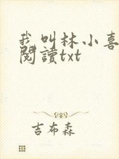 我叫林小喜免费阅读txt