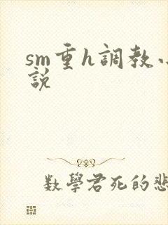 sm重h调教小说封面