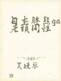 日本胖熊gay老头同性封面