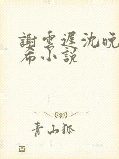 谢云迟沈晚梨叶希小说