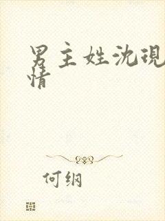 男主姓沈现代言情
