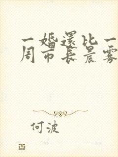 一婚还比一婚高周市长晨雾的光