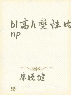 bl高h双性肉np