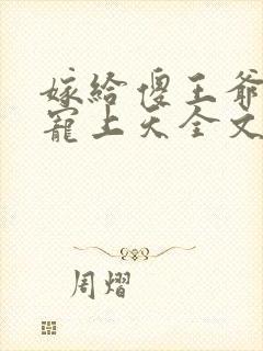嫁给傻王爷后被宠上天全文免费