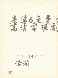 老婆6免费完整高清电视剧看